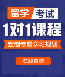 黄色网站操逼揉胸番留学考试一对一精品课